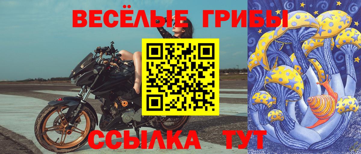 купить закладку  Галлюциногенные грибы мухоморы  Вход с VPN  Сухой Лог  Галлюциногенные грибы Magic Shrooms 