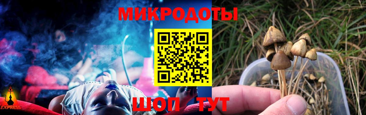 Галлюциногенные грибы прущие грибы Сухой Лог